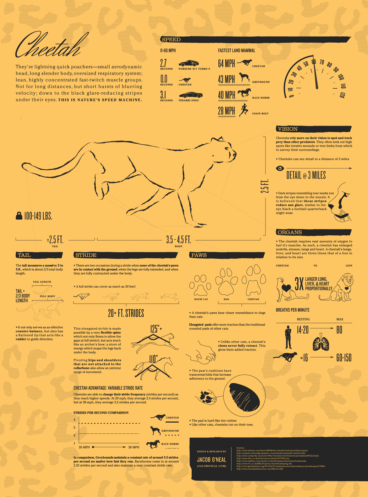 Ce poster animé, sous forme d'un GIF, représente de nombreuses données autour du guépard, notamment sa vitesse légendaire. Ce poster animé, sous forme d'un GIF, représente de nombreuses données autour du guépard, notamment sa vitesse légendaire.
